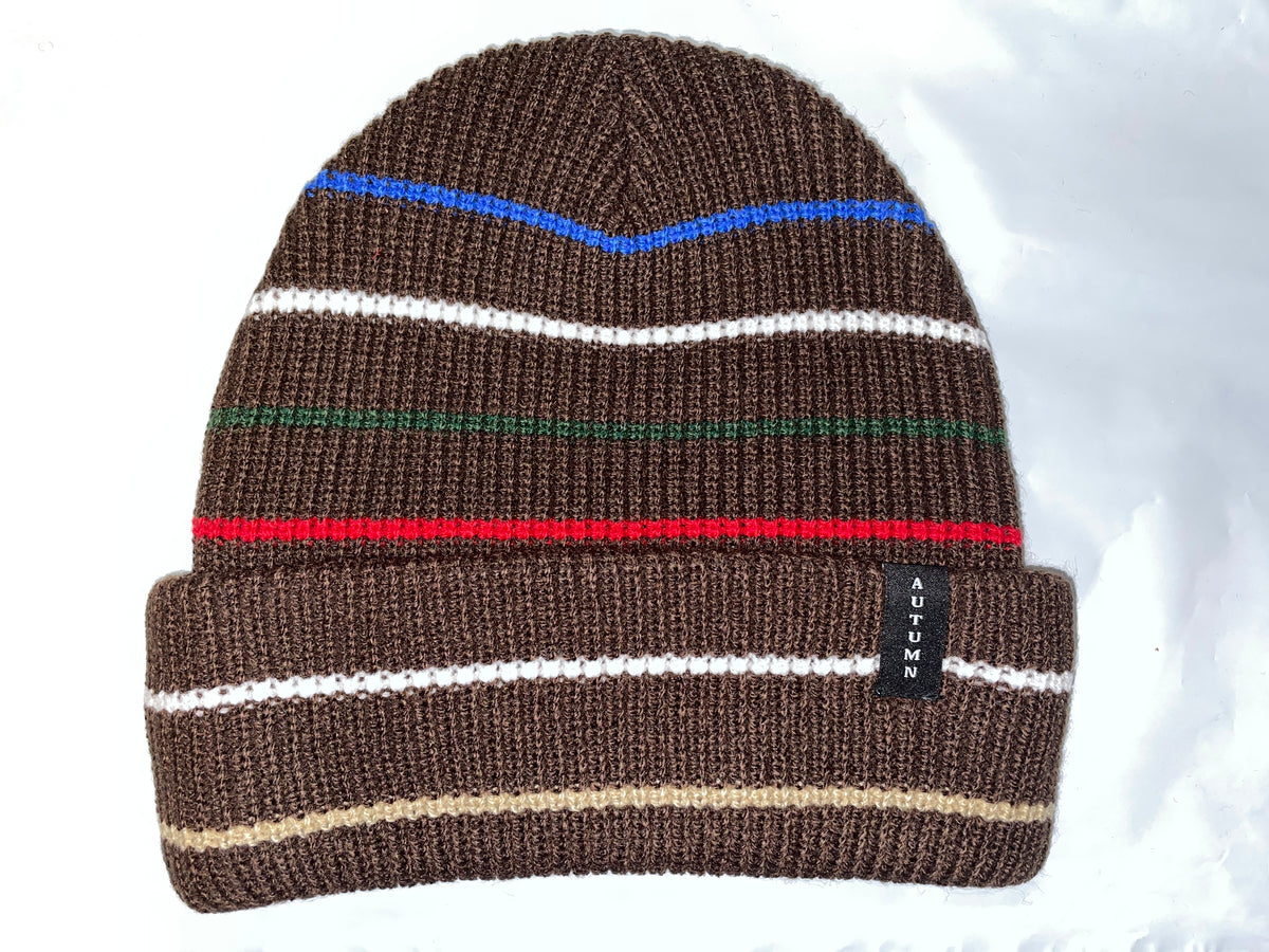 Autumn Select Multi Stripe Beanie – Lip Trix Boardshop