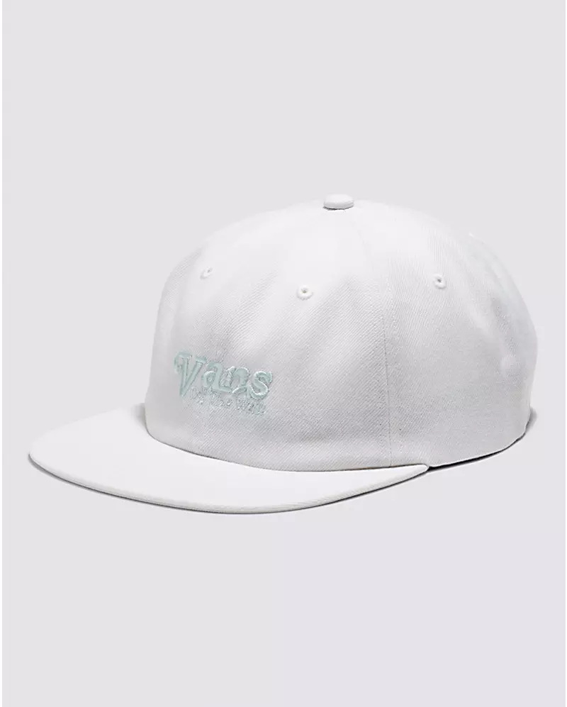 Vintage top vans hat