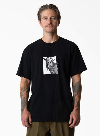Dickies: Mike Anderson Graphic T-Shirt