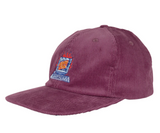 Santa Cruz: Self Destruct Snapback