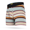 Stance: Mike B Wholester Boxer Brief - Blue