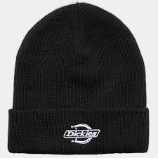 Dickies: Summerdale Beanie