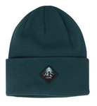 Coal Omak Beanie - Spruce Green