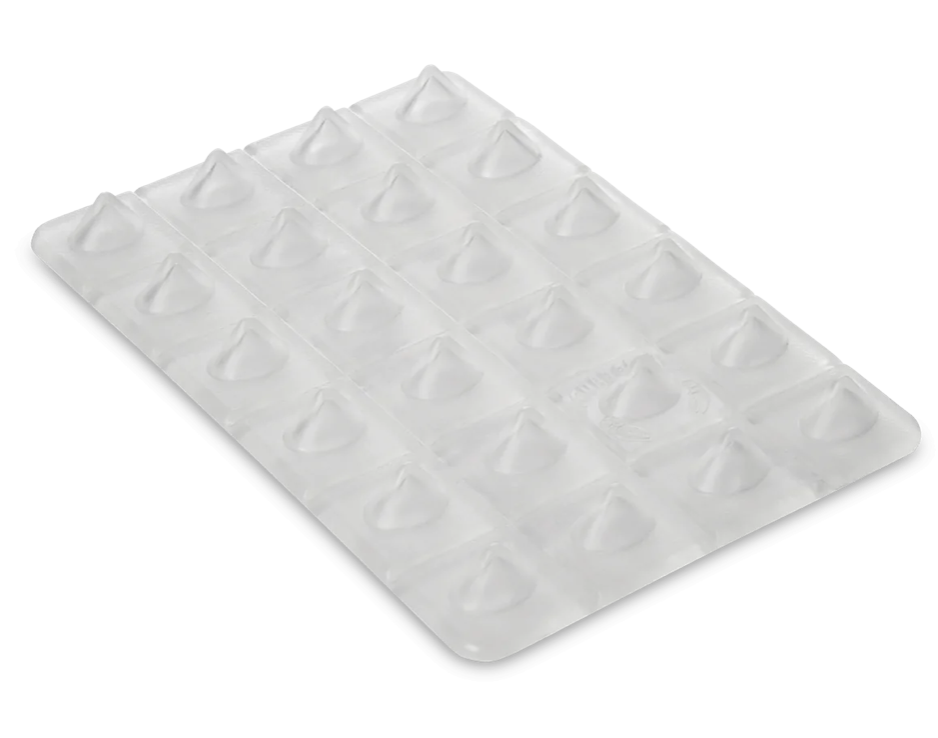 Crab Grab: Shark Teeth Stomp Pad 2023