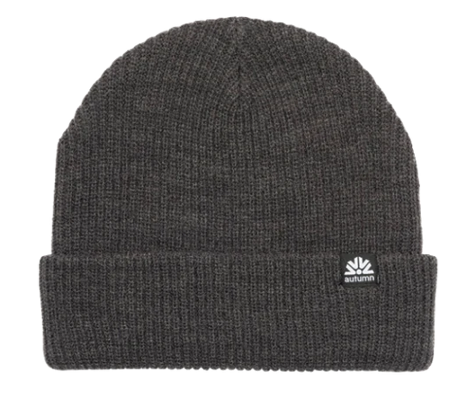 Autumn Simple Beanie 2024