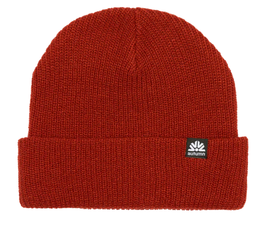Autumn Simple Beanie 2024