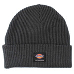 Dickies Skateboarding Cuffed Beanie