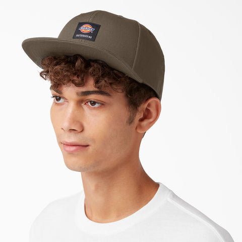 Dickies Boardshop Skateboarding Bill Lip – Cap Flat Trix