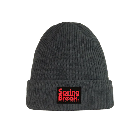 Capita Snowboards: Spring Break Beanie - Charcoal