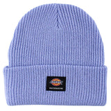 Dickies Skateboarding Cuffed Beanie